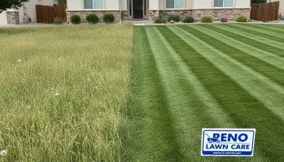 Before and after Reno, NV lawn mowing showing transformation from overgrown grass to neat, healthy yard