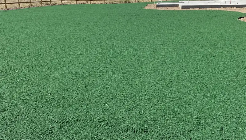 Fresh hydroseeded lawn in Reno, NV showing uniform green slurry coverage by Chop Chop Landscaping