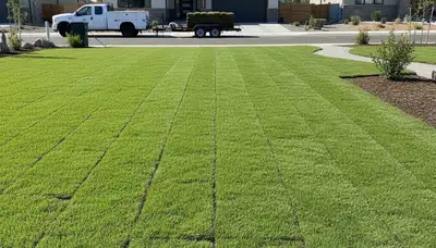 Freshly installed vibrant green sod lawn by professional landscapers in Reno, NV